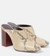 Chloé Ambre Snake-effect Leather Mules In Grey