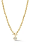 Chloe & Madison Chloe And Madison Lion Coin Pendant Toggle Necklace In Gold