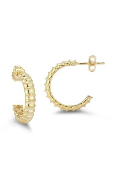 Chloe & Madison Chloe And Madison Ribbed Hoop Earrings In Gold