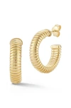 Chloe & Madison Chloe And Madison Ribbed Hoop Earrings In Gold