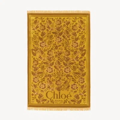 CHLOÉ ANISE GREEN