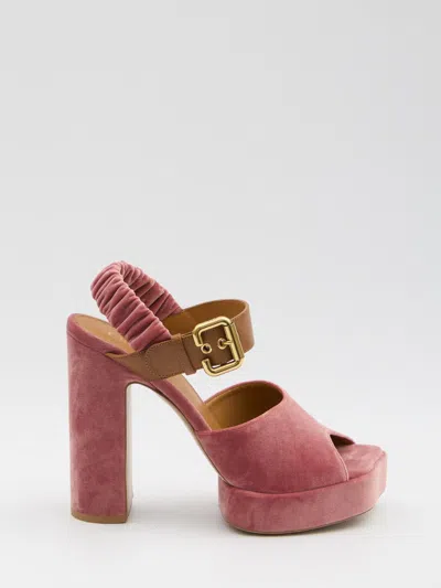 Chloé Aria Sandals In Pink