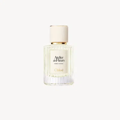 Chloé Atelier Des Fleurs Herba Mimosa Eau De Parfum 1.7 Fl oz