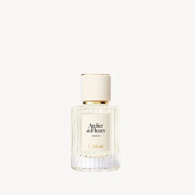 Chloé Atelier Des Fleurs Cedrus 1.7 Fl oz