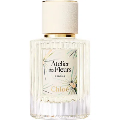 Chloé Atelier Des Fleurs Cedrus Eau De Parfum In Transparent