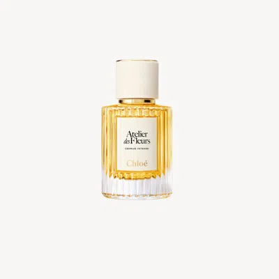Chloé Atelier Des Fleurs Cedrus Intense Eau De Parfum 1.7 Fl oz In Yellow
