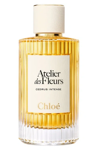 Chloé Atelier Des Fleurs Cedrus Intense Eau De Parfum For Women In No Color