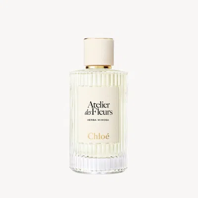 Chloé Atelier Des Fleurs Herba Mimosa Eau De Parfum 5.1 Fl oz