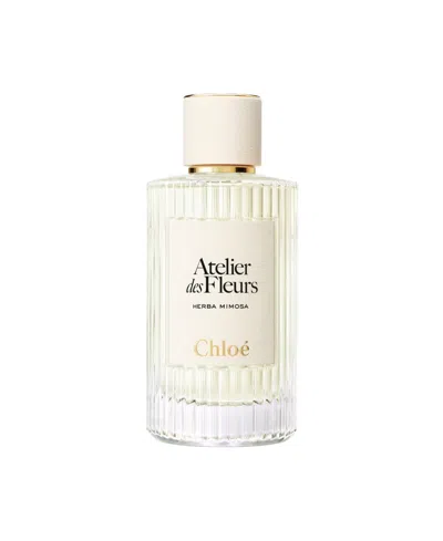 Chloé Atelier Des Fleurs Herba Mimosa Eau De Parfum Spray, 5 Oz. In Transparent