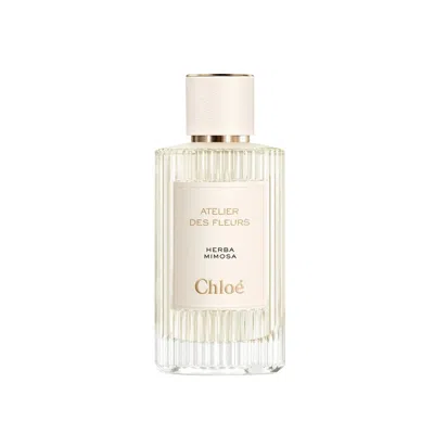 Chloé Chloe Atelier Des Fleurs Herba Mimosa Edp Spray 5.0 oz Fragrances 3614225344190
