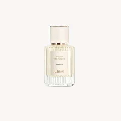 Chloé Atelier Des Fleurs Papyrus Eau De Parfum 1.7 Fl oz In Transparent