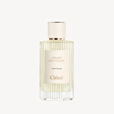 Chloé Atelier Des Fleurs Papyrus Eau De Parfum 5.1 Fl oz In Transparent
