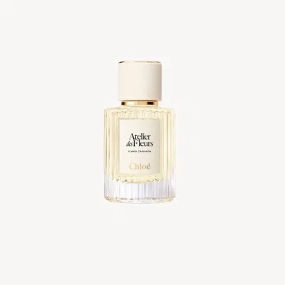 Chloé Atelier Des Fleurs Ylang Cananga Eau De Parfum 1.7 Fl oz In Neutral