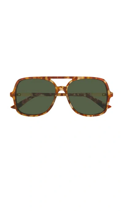 Chloé Aviator Sunglasses In Brown