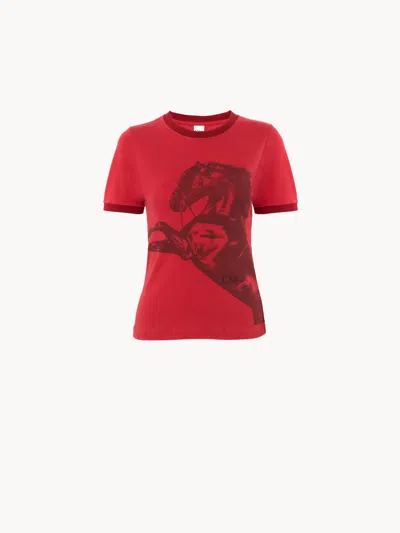 Chloé Baby Fit Logo T-shirt In Chiné Jersey