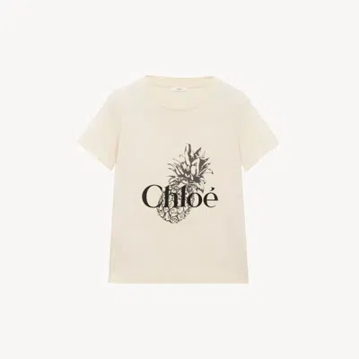 Chloé T-shirt Ajusté En Jersey De Coton À Logo Femme Orange Taille M 100% Coton