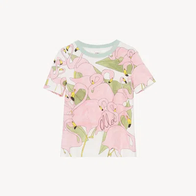 Chloé Baby Fit Logo T-shirt In Cotton Jersey In Pink