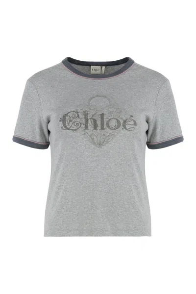 Chloé Baby Fit T-shirt With Logo In Cotton Jersey In Gray