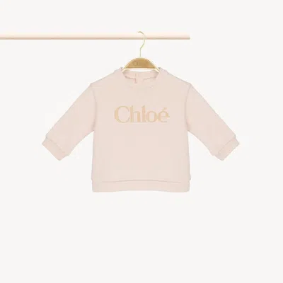 Chloé Baby Logo Sweater Pink Size 6-9 100% Cotton In Gold