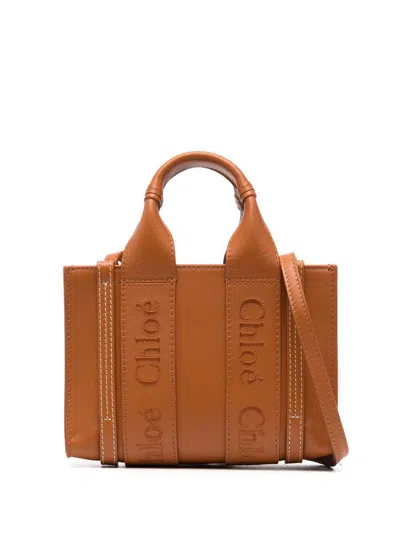 Chloé Bags In Brown