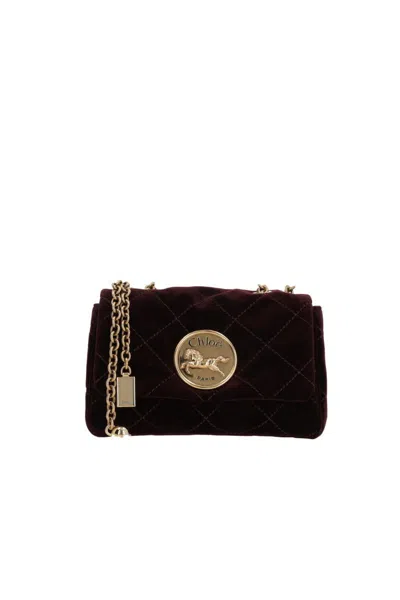 Chloé Bags In Brown