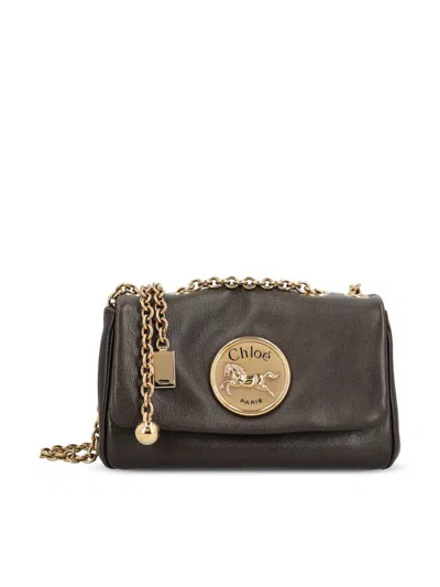 Chloé Bags In Brown