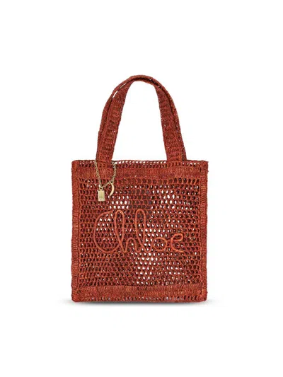 Chloé Bags In Brown