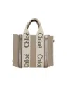 Chloé Bags In Gray