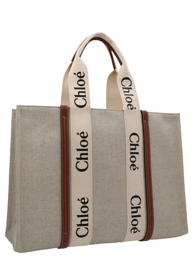Chloé Chloè Bags In White - Brown 1