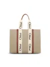 Chloé Bags In White - Brown