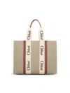 Chloé Bags In White - Brown