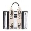 Chloé Handbag With 2 Handles And Removable Strap In Multi