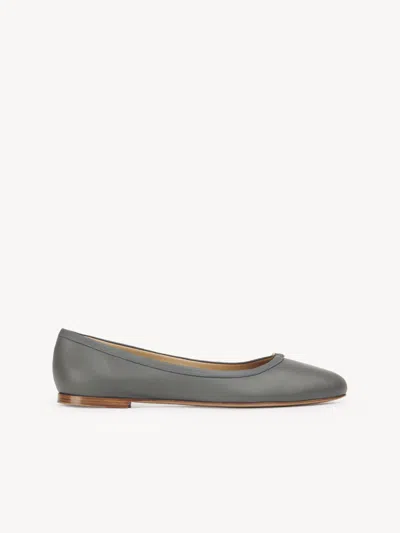 Chloé Marcie Ballerina Grey Size 6 100% Sheepskin In Gris