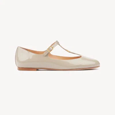 Chloé Marcie Ballet Flats In Brown
