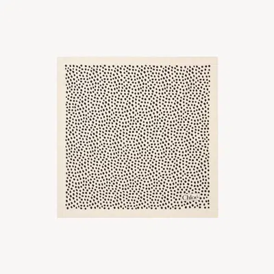 Chloé Beige In Brown