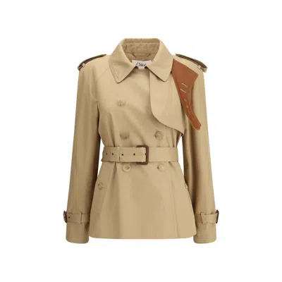 Chloé Beige Cotton Coat In Neutral
