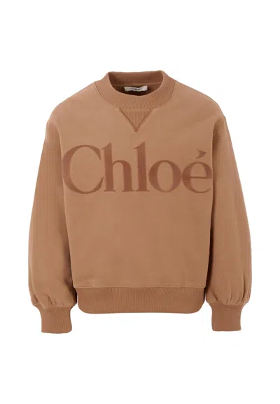 Chloé Kids' Beige Sweatshirt For Girl With Velvet Logo In Brown