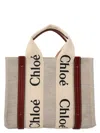 Chloé Beige Shopping Woody Small Tote Bag In Beige
