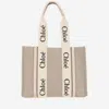 Chloé Woody Medium Tote Bag In Multi