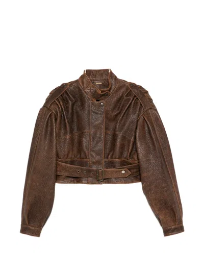 Chloé Belted Jacket In Brown
