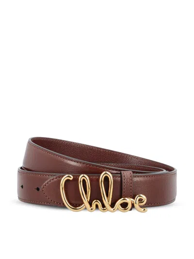 Chloé Belts In Brown