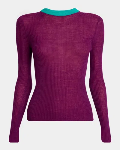 Chloé Bicolor Long-sleeve Wool Crewneck Sweater In Sparkling Purple