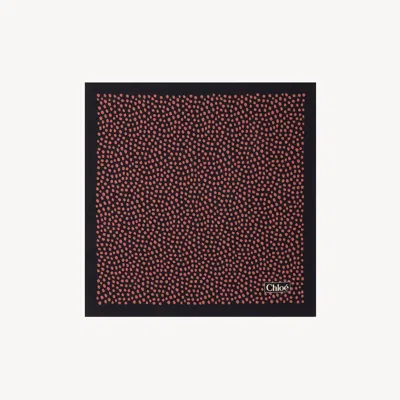 Chloé Black In Brown