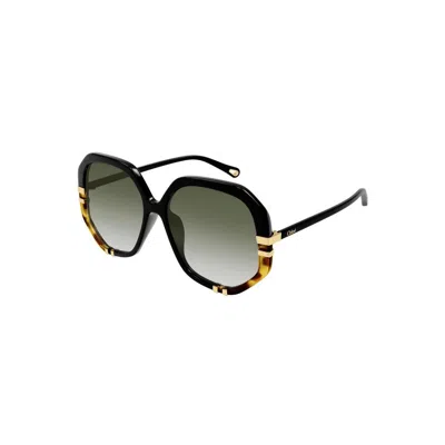 Chloé Black Black Green Acetate Sunglasses In Blue