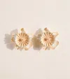 Chloé Pink Bloom Stud Earrings In Brown