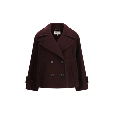 Chloé Bordeaux Fleece Wool Coat In Brown