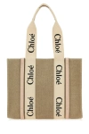 Chloé Women Woody Canvas Medium Tote In Multi