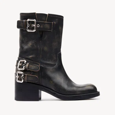 CHLOÉ BOTTINES DAKOTA