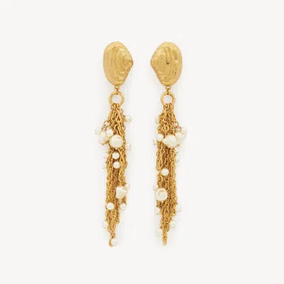 Chloé Gold-tone Shell Pearl Drop Earrings In Vintage Gold