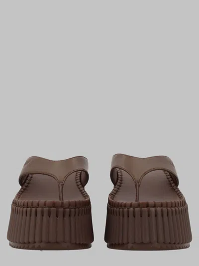 Chloé 克洛伊 In Brown